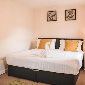 Snapos - Tudor Close , Sheffield United Kingdom
